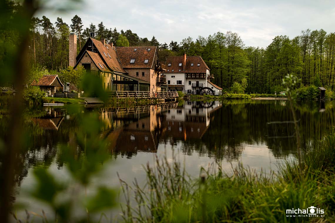 Warsztaty fotograficzne Oleśnica