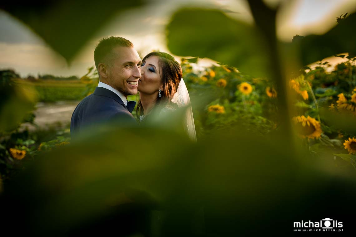 plener ślubny pole słoneczników fotografia ślubna Wrocław sesja ślubna plener ślubny pole słoneczników fotografia ślubna Wrocław