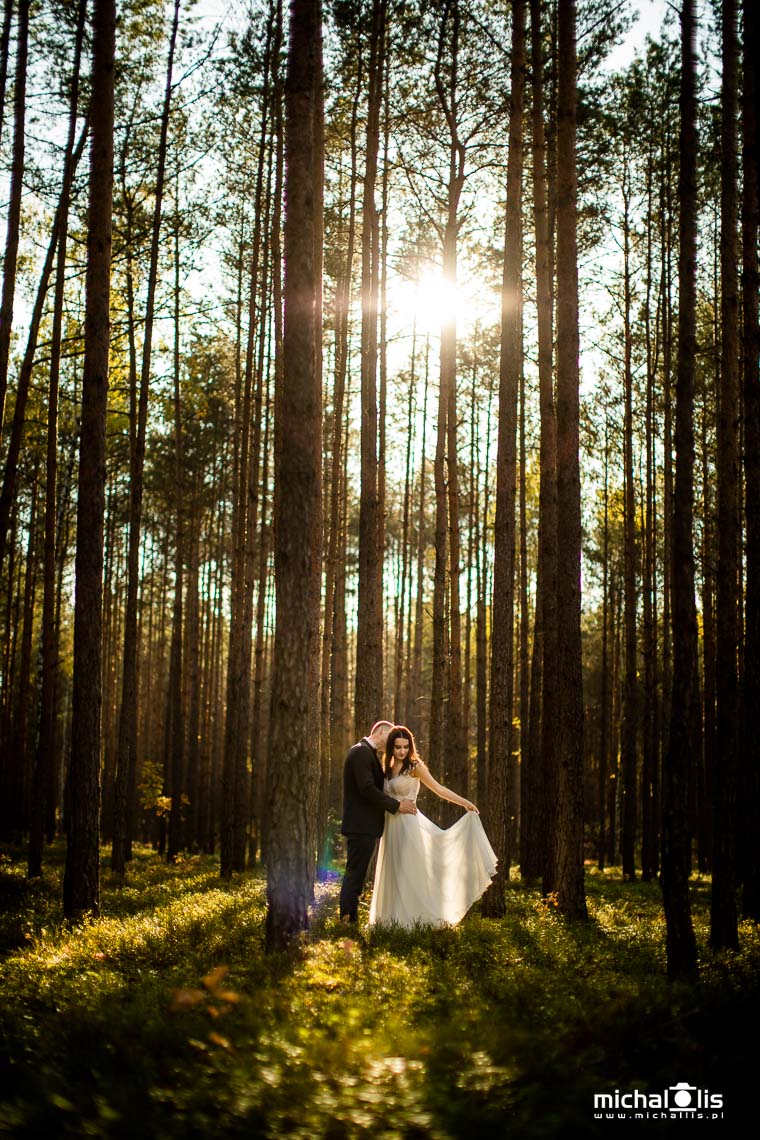 słoneczna sesja w lesie, zdjęcia ślubne Wrocław